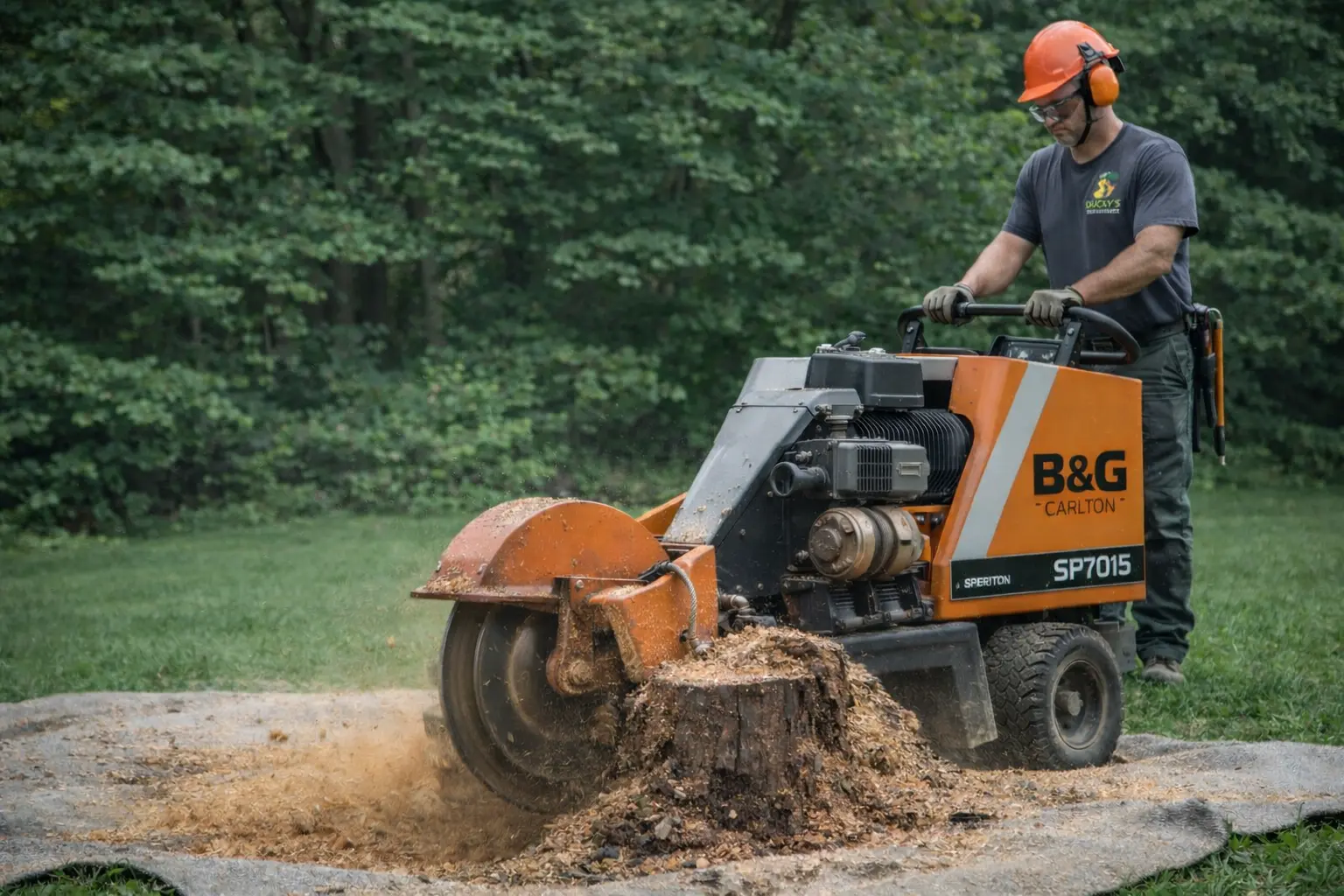 Stump grinding service